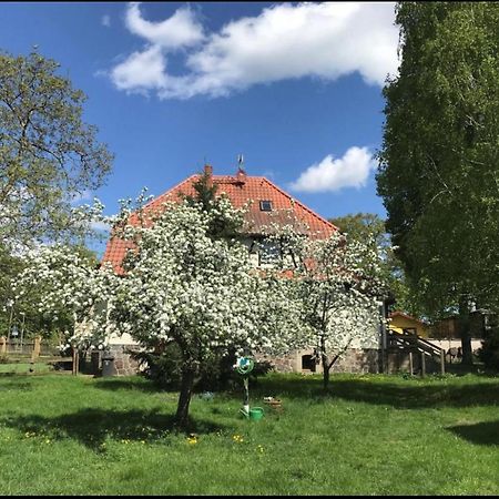 Hof Lillge Apartman Schorfheide Kültér fotó