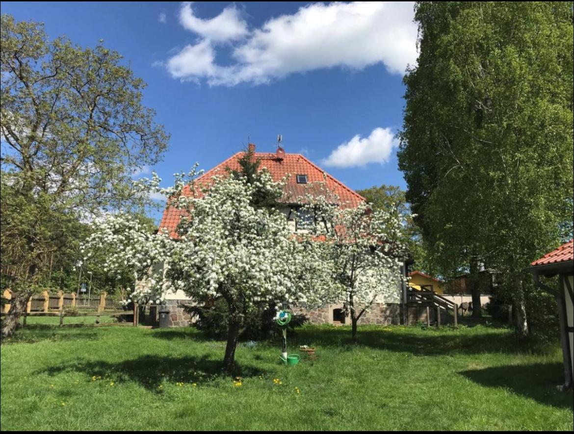 Hof Lillge Apartman Schorfheide Kültér fotó