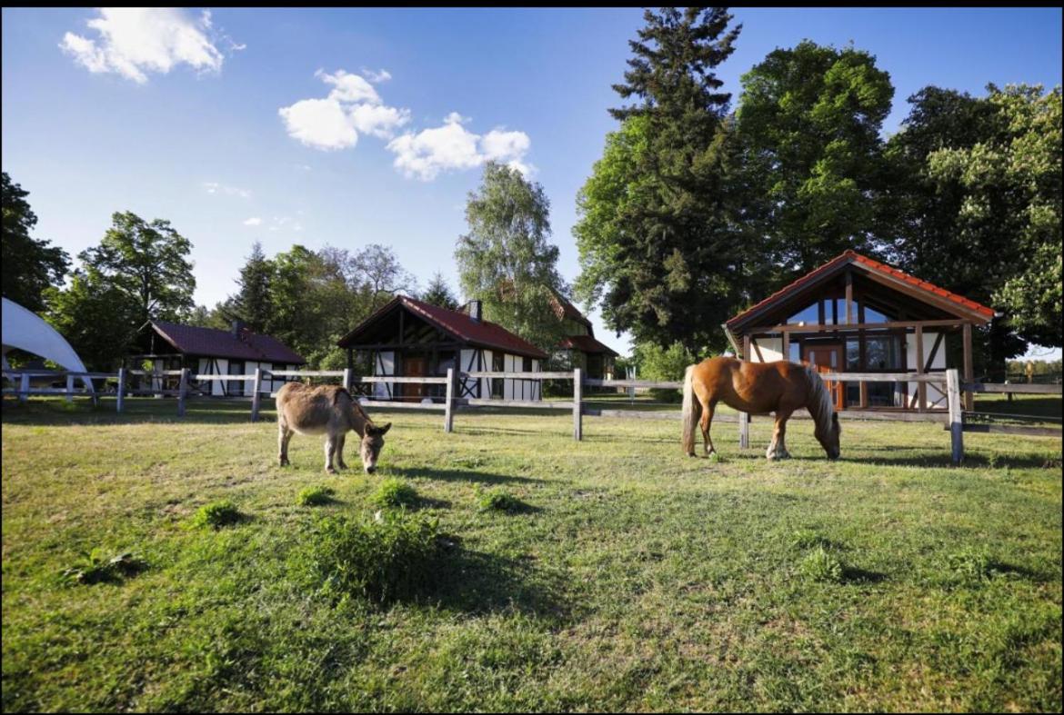 Hof Lillge Apartman Schorfheide Kültér fotó